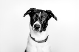 Drei Eins – Architektur- und Stadtplanungsbüro in Frankfurt